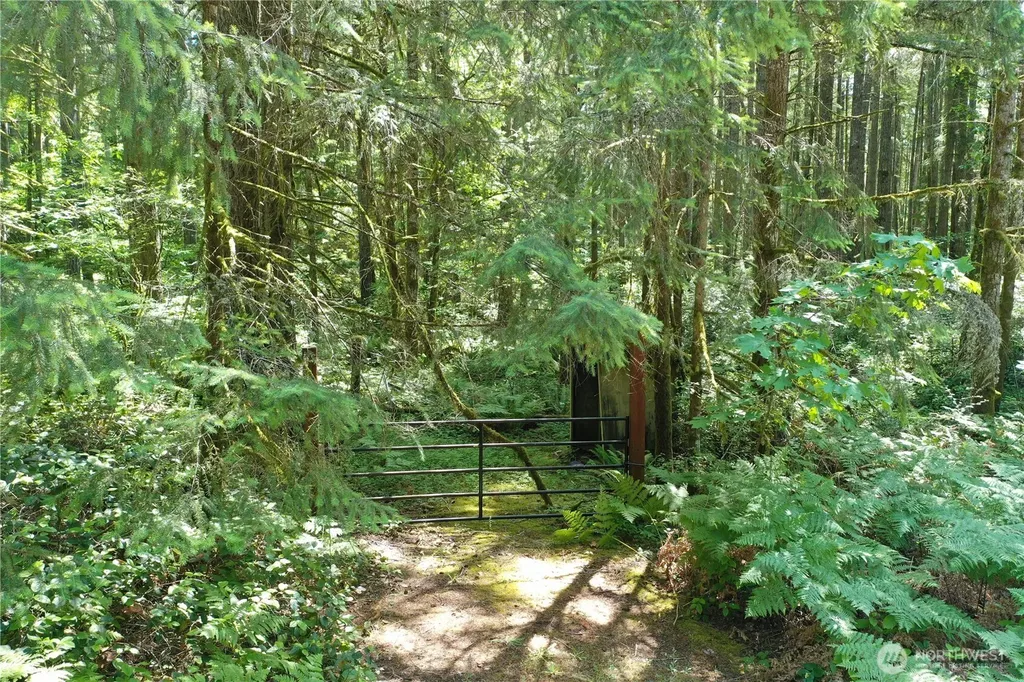 13257 118th Avenue NW Gig Harbor WA 98329