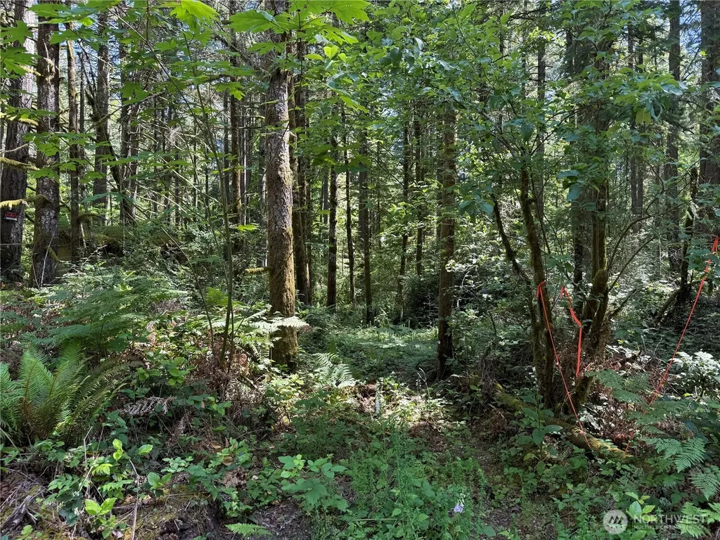 13257 118th Avenue NW Gig Harbor WA 98329