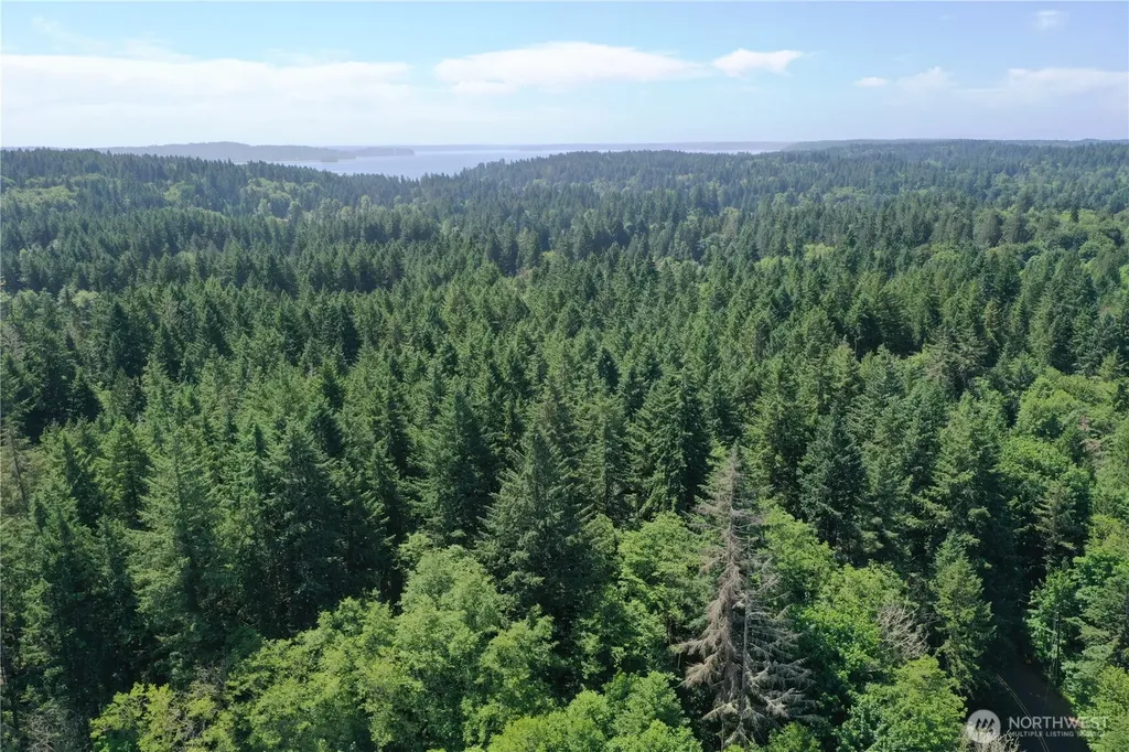 13257 118th Avenue NW Gig Harbor WA 98329