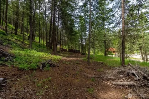 7 Howerton Road Twisp WA 98856