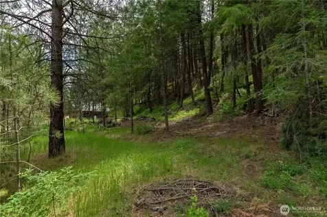 7 Howerton Road Twisp WA 98856