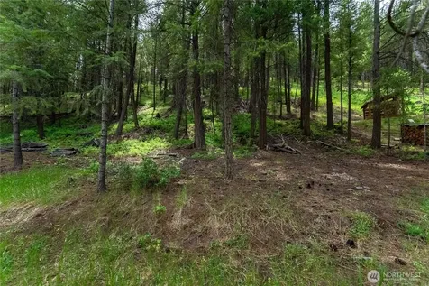 7 Howerton Road Twisp WA 98856