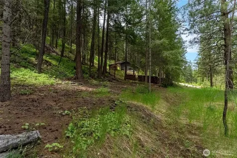 7 Howerton Road Twisp WA 98856
