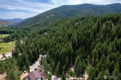 7 Howerton Road Twisp WA 98856