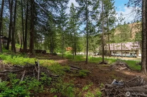 7 Howerton Road Twisp WA 98856