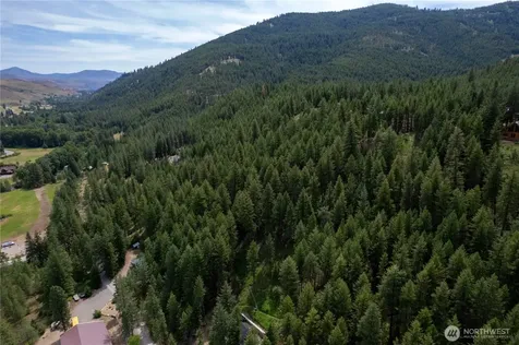 7 Howerton Road Twisp WA 98856