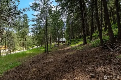 7 Howerton Road Twisp WA 98856