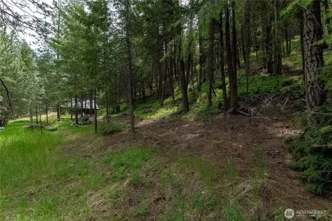 7 Howerton Road Twisp WA 98856