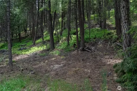 7 Howerton Road Twisp WA 98856