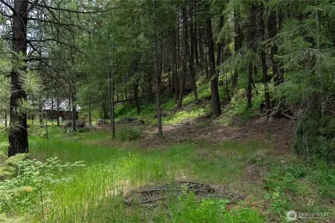 7 Howerton Road Twisp WA 98856