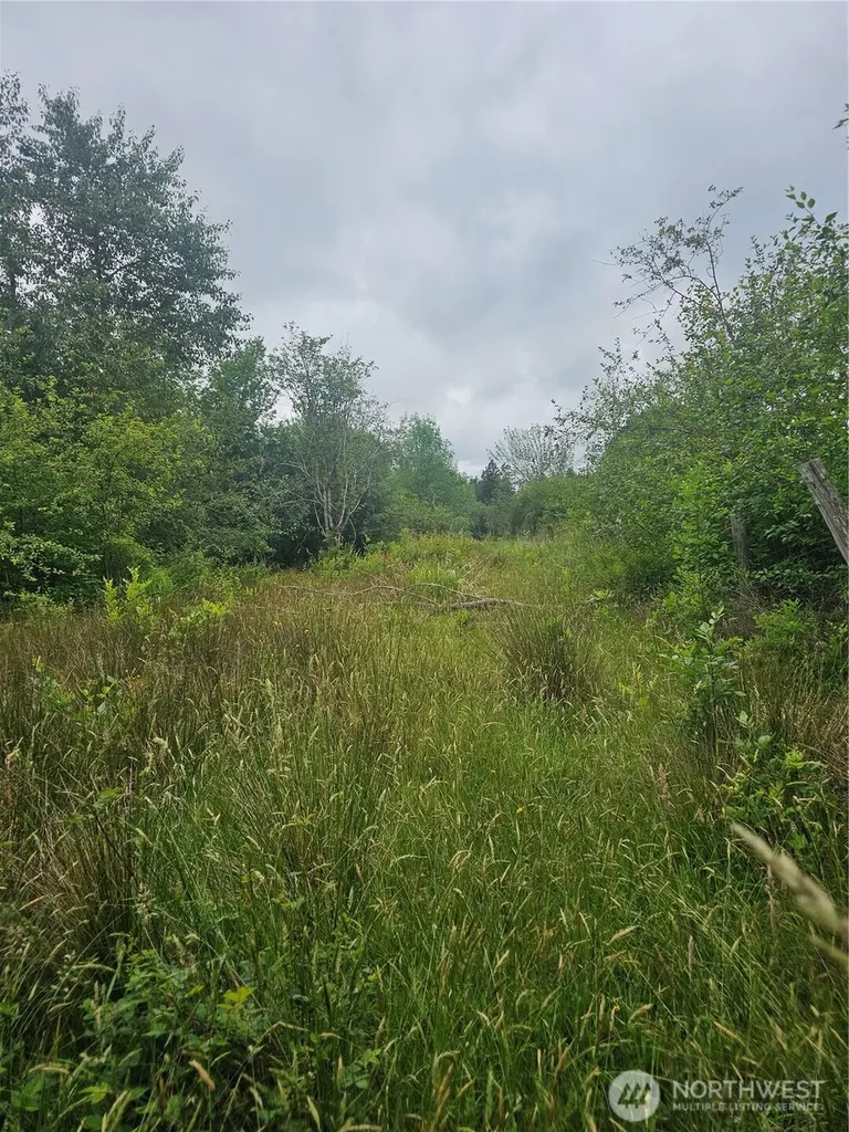 565 Oyler Road Ethel WA 98542
