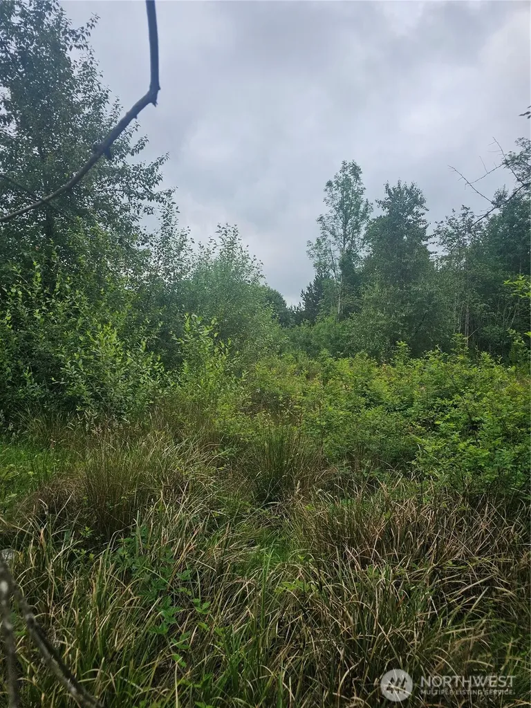 565 Oyler Road Ethel WA 98542