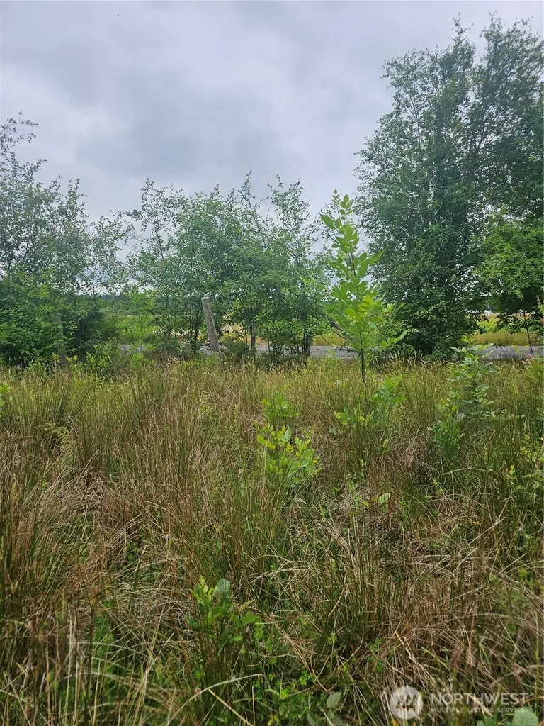 565 Oyler Road Ethel WA 98542