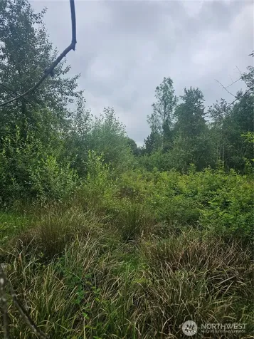 565 Oyler Road Ethel WA 98542