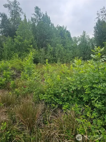 565 Oyler Road Ethel WA 98542