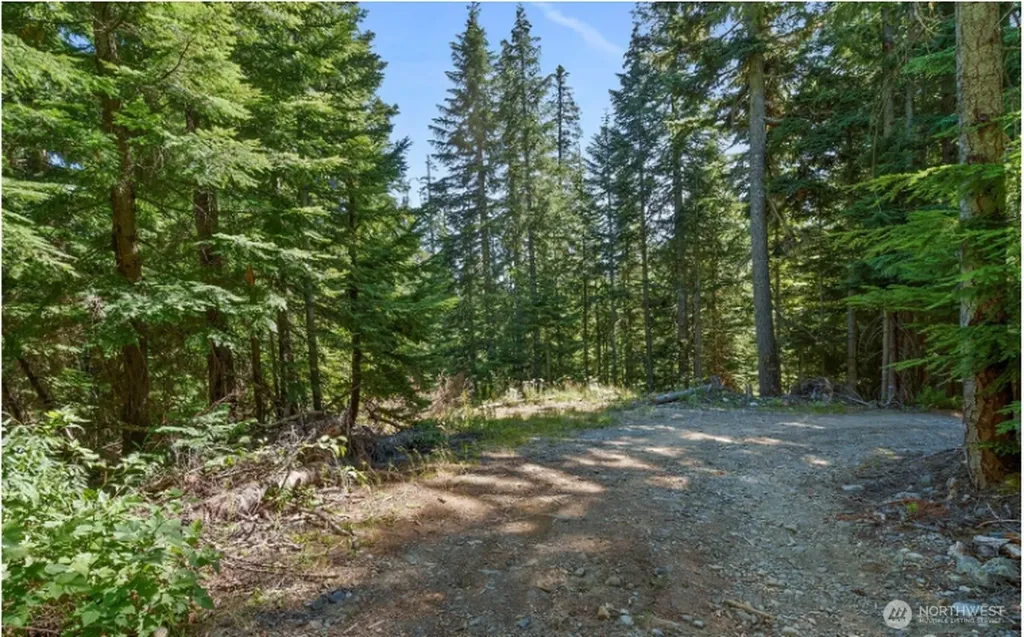 13 Snoqualmie Village Drive Snoqualmie Pass WA 98068