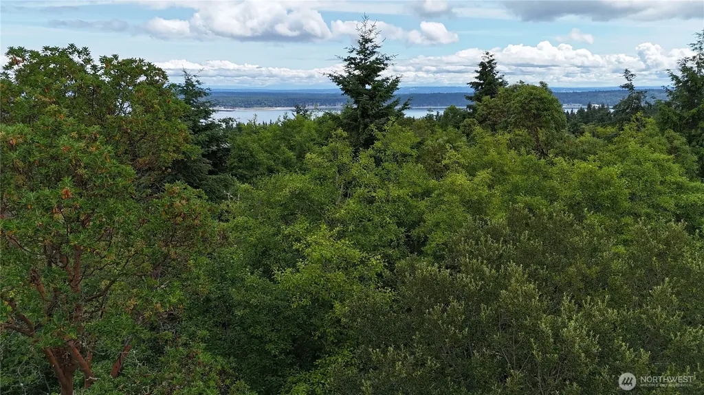 0 Woodland Drive Port Townsend WA 98368