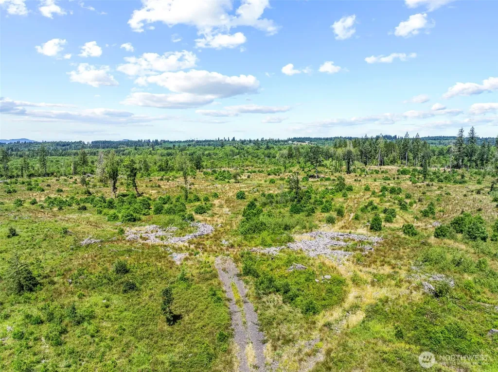 0 Sareault Road Toledo WA 98591