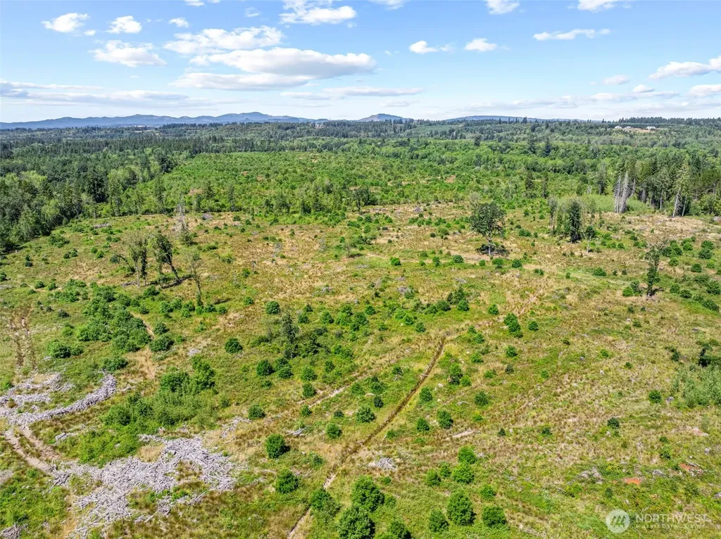 0 Sareault Road Toledo WA 98591