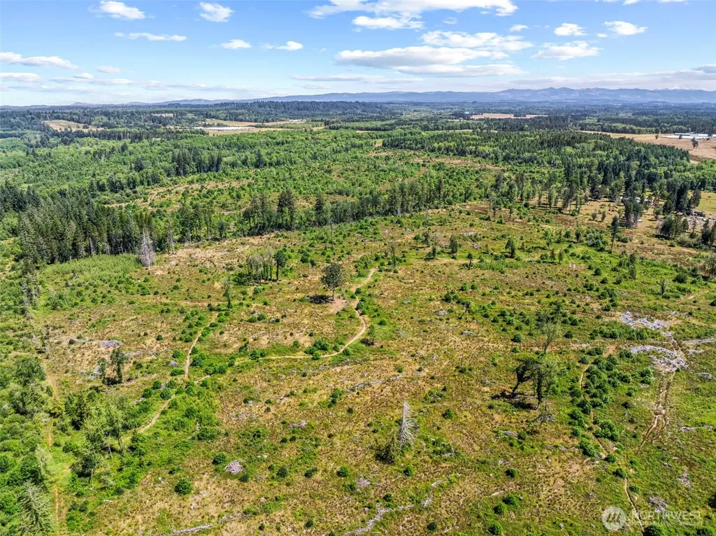 0 Sareault Road Toledo WA 98591