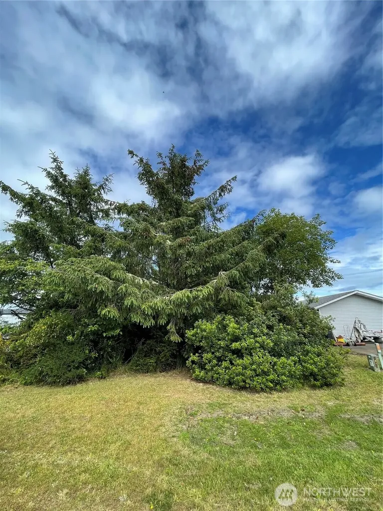 572 Duck Lake Drive NE Ocean Shores WA 98569