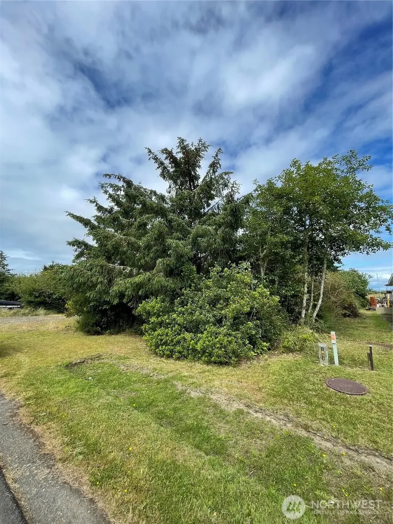 572 Duck Lake Drive NE Ocean Shores WA 98569