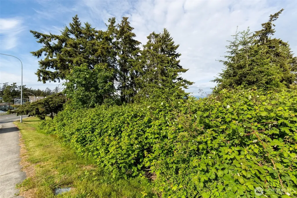 0 State Route 20 (Lot 4) Oak Harbor WA 98277