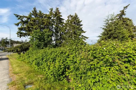 0 State Route 20 (Lot 4) Oak Harbor WA 98277