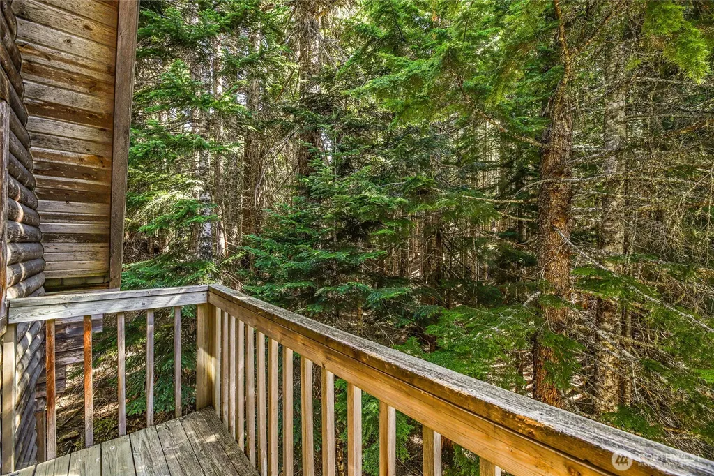 81 Snow Cabin Place Snoqualmie Pass WA 98068