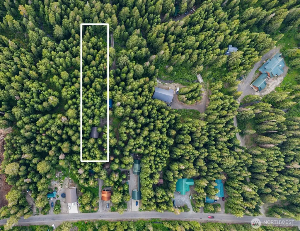 81 Snow Cabin Place Snoqualmie Pass WA 98068