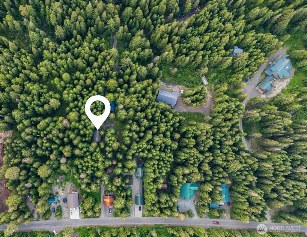 81 Snow Cabin Place Snoqualmie Pass WA 98068