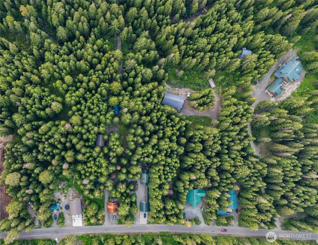 81 Snow Cabin Place Snoqualmie Pass WA 98068