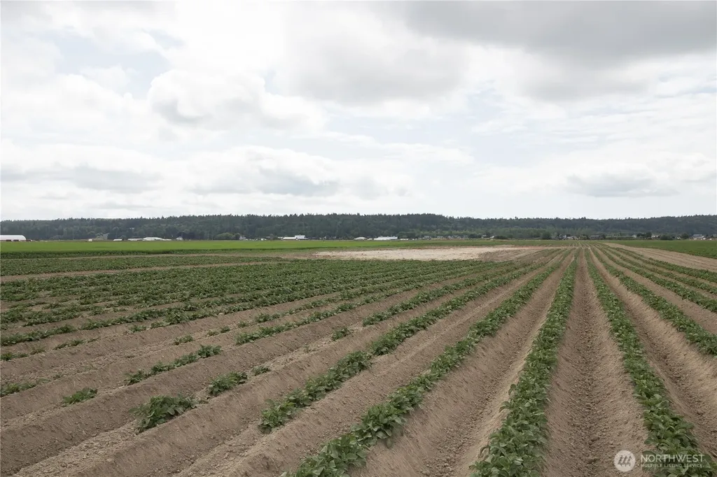 0 Downey Road Mount Vernon WA 98273