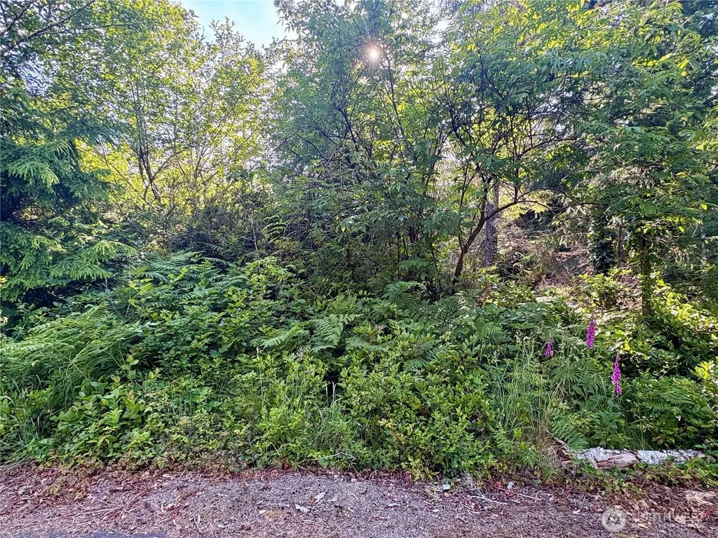 285 Z Street Ocean Park WA 98640
