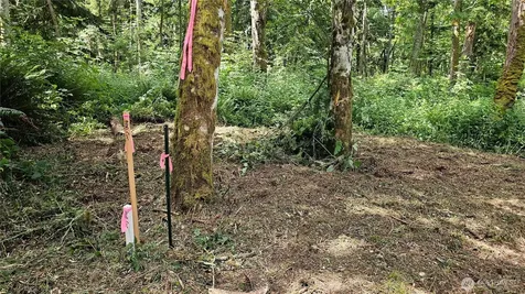 304 Dove Drive Camano Island WA 98282