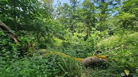 304 Dove Drive Camano Island WA 98282