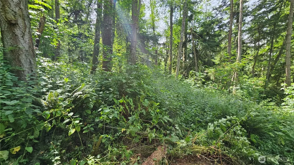 0 Dove Drive Camano Island WA 98282