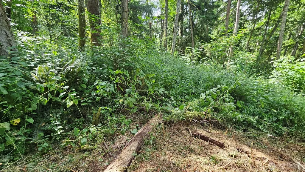 0 Dove Drive Camano Island WA 98282