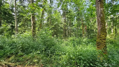 0 Dove Drive Camano Island WA 98282