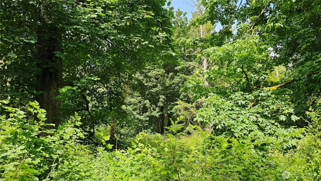 0 Dove Drive Camano Island WA 98282