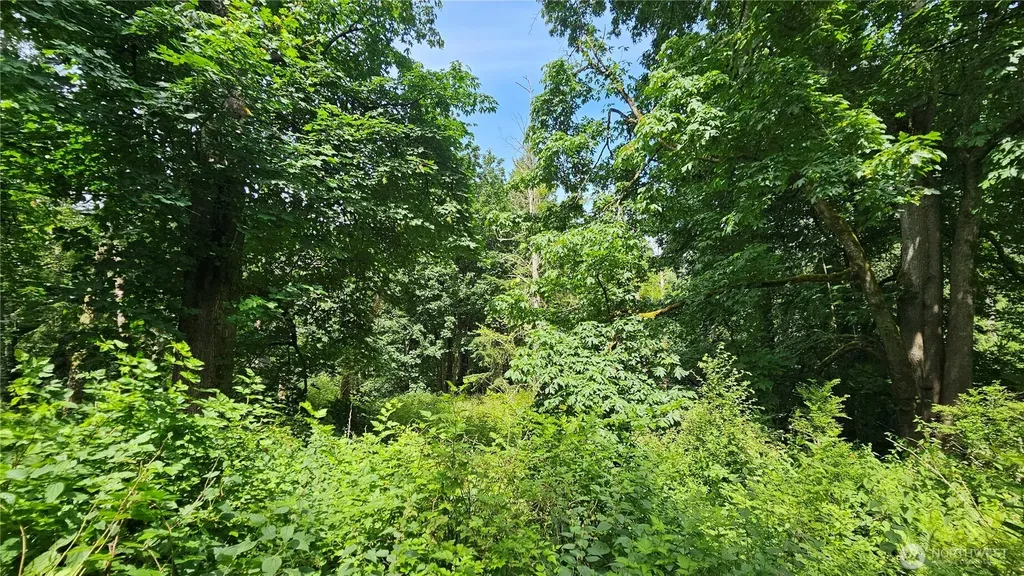 0 Dove Drive Camano Island WA 98282