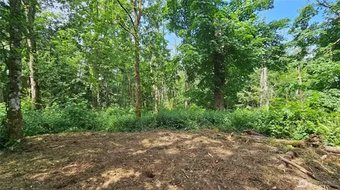 0 Dove Drive Camano Island WA 98282