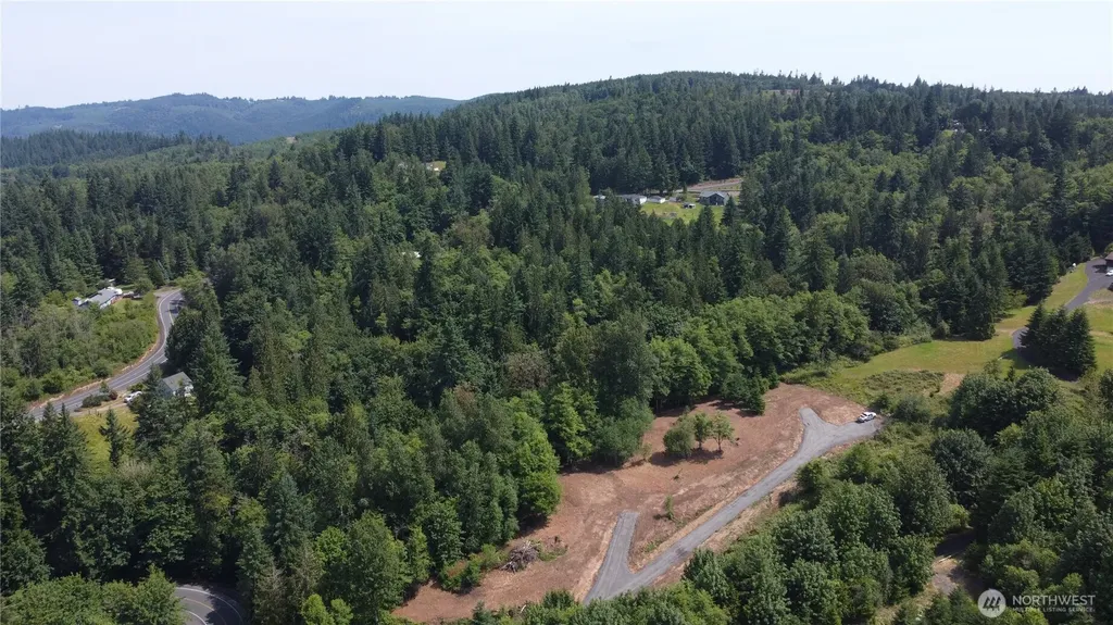 0 Carrolls Road Kelso WA 98626