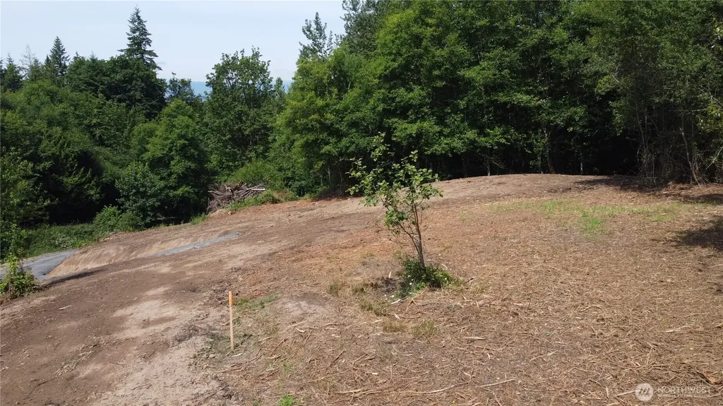 0 Carrolls Road Kelso WA 98626