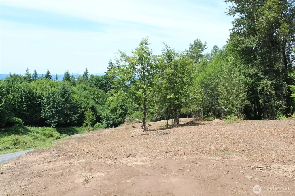 0 Carrolls Road Kelso WA 98626