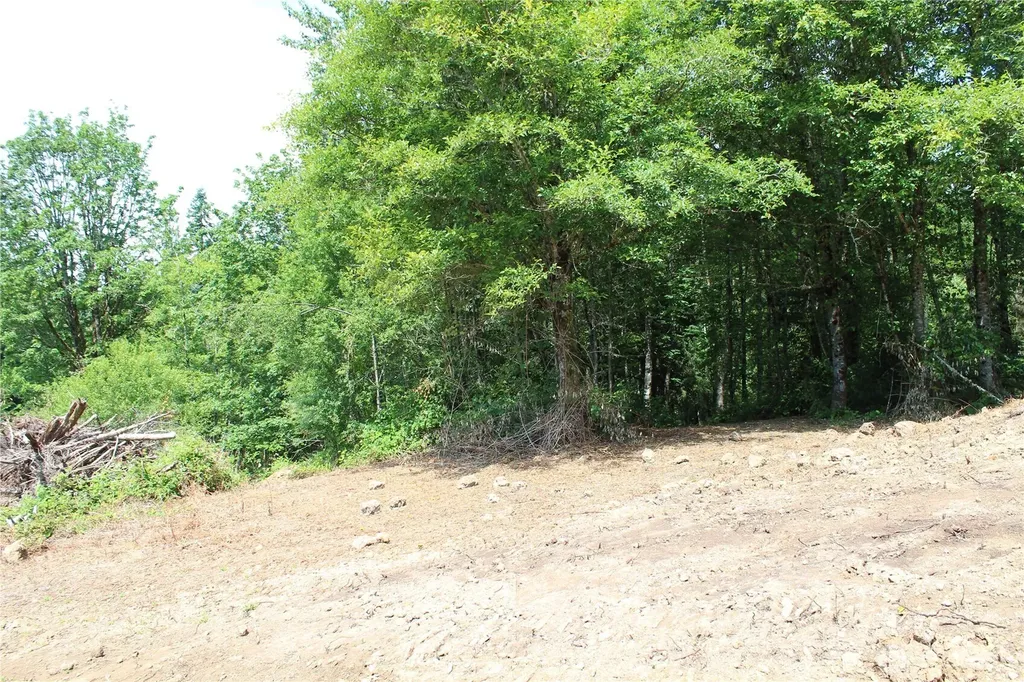 0 Carrolls Road Kelso WA 98626