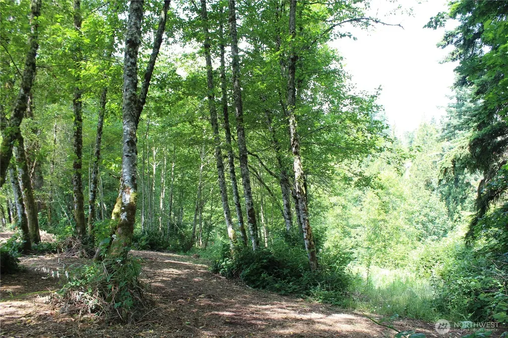0 Carrolls Road Kelso WA 98626