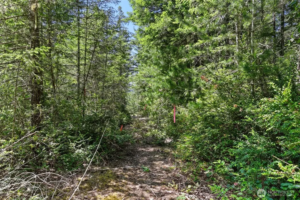 6133 Blue Mountain Lane NW Seabeck WA 98380