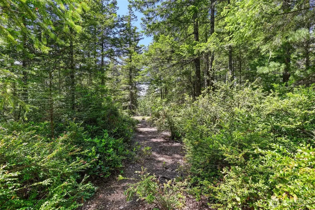 6133 Blue Mountain Lane NW Seabeck WA 98380