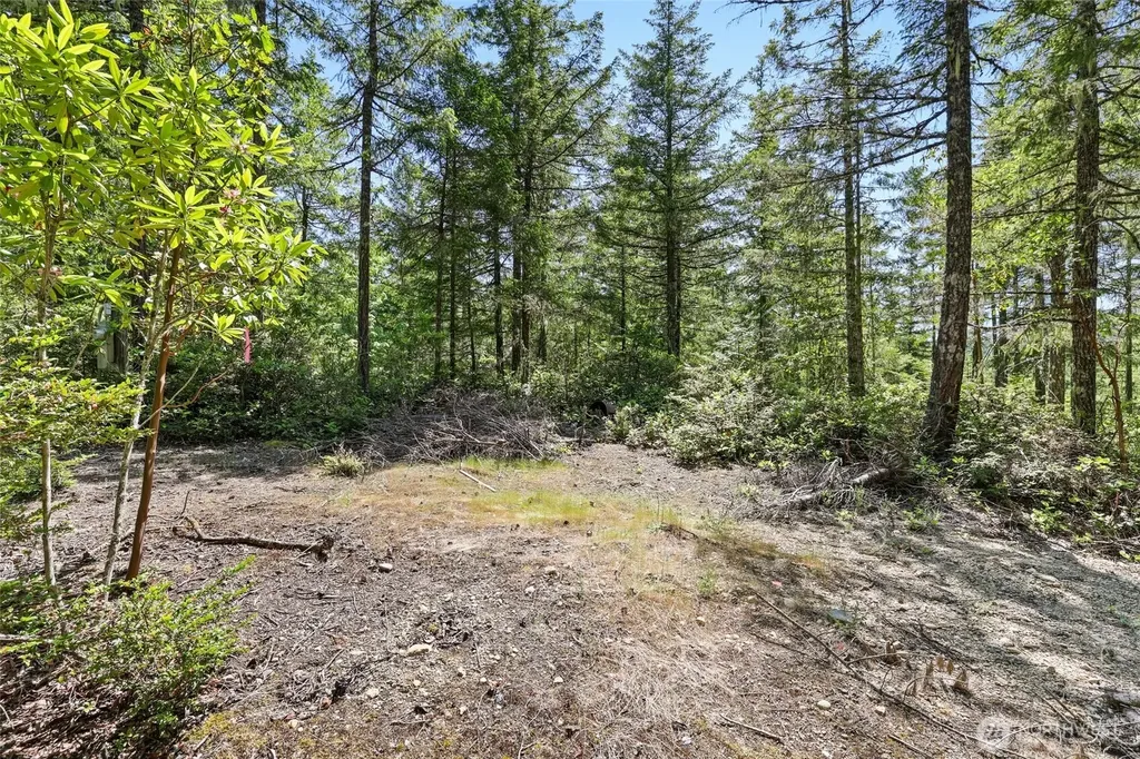 6133 Blue Mountain Lane NW Seabeck WA 98380